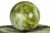 Polished Noble Serpentine Sphere with Base - Washington #341587-1